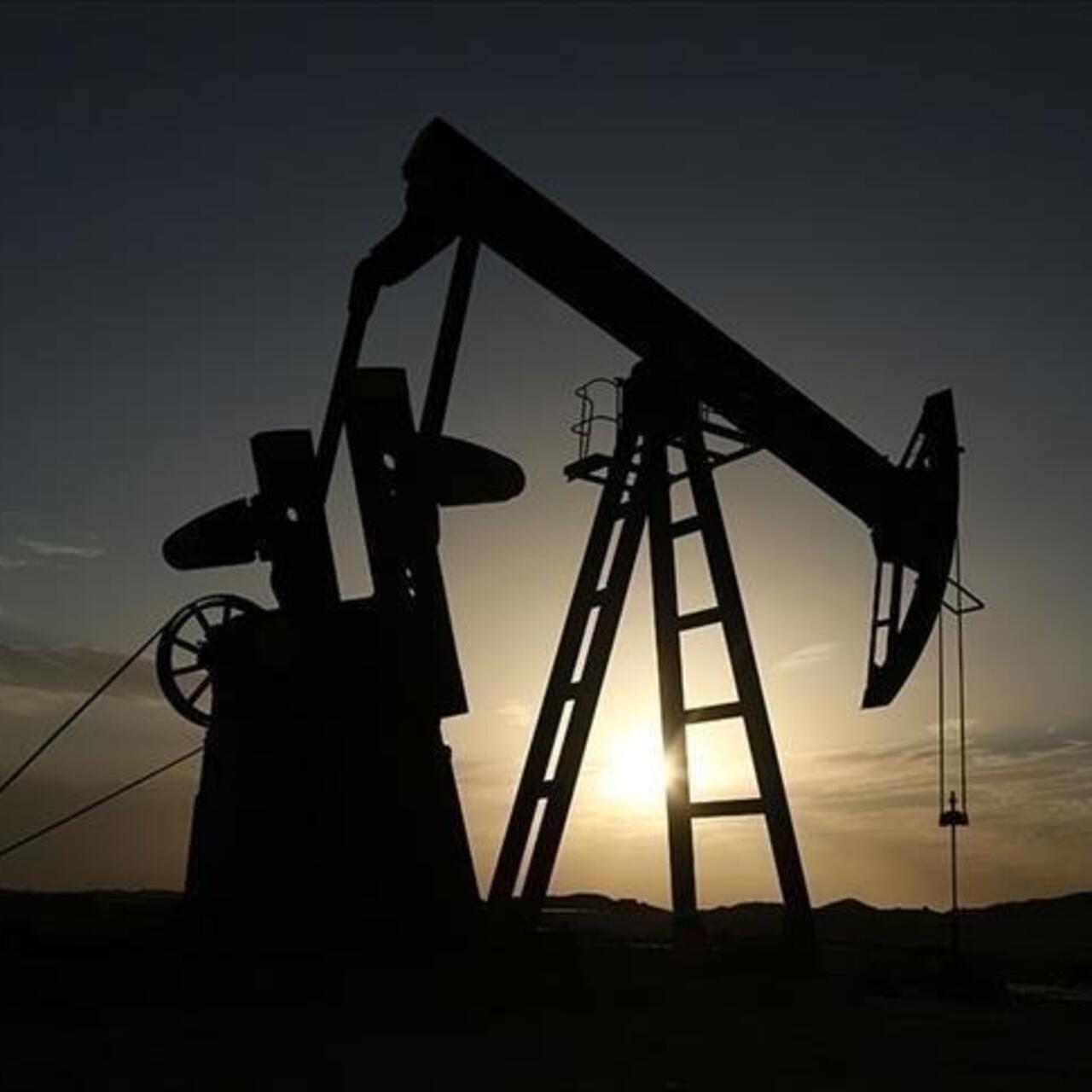 OPEC+ ülkeleri üretim artışına gidecek