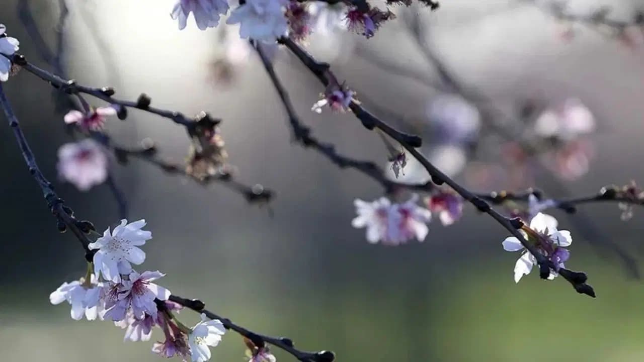 Üçüncü cemre ne zaman ve nereye düşecek? 2026 üçüncü cemre düşme tarihi